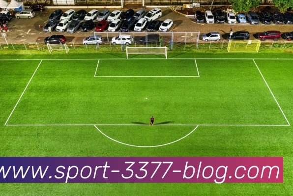 3377体育发展历程